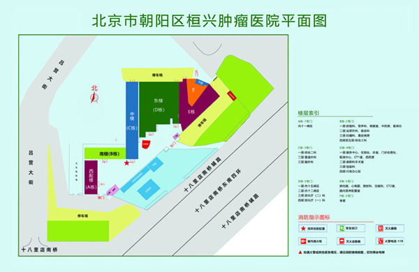 大奶子想日下面了啊啊啊啊北京市朝阳区桓兴肿瘤医院平面图